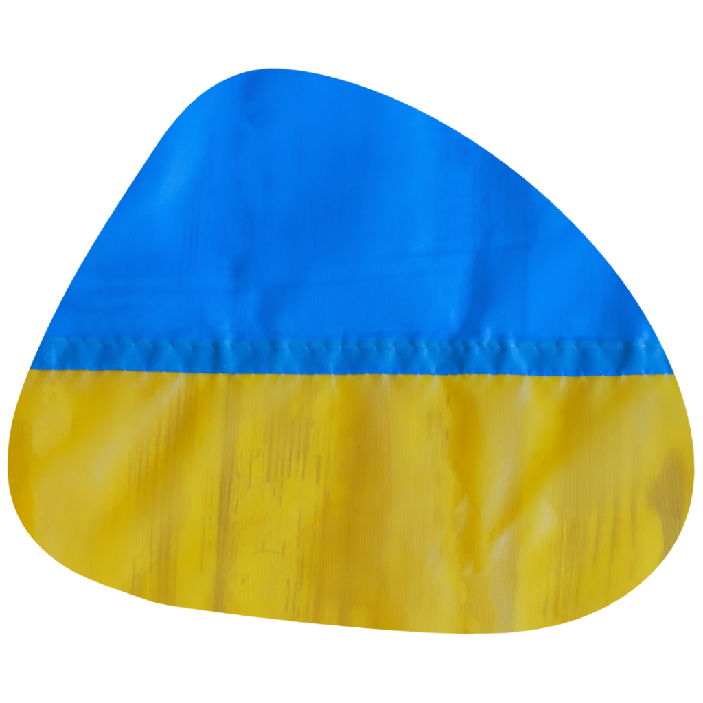 Ukraina Cambridge, pomoc językowa