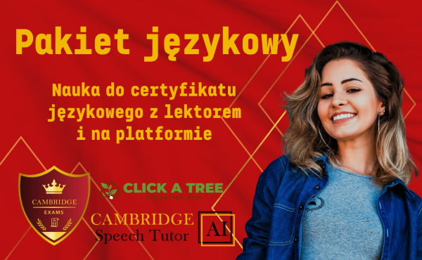 Kurs języka angielskiego przygotowujący do egzaminu językowego online z lektorem polskim (non-native speaker) lub native speaker i nauka języka angielskiego e-learning do certyfikatu