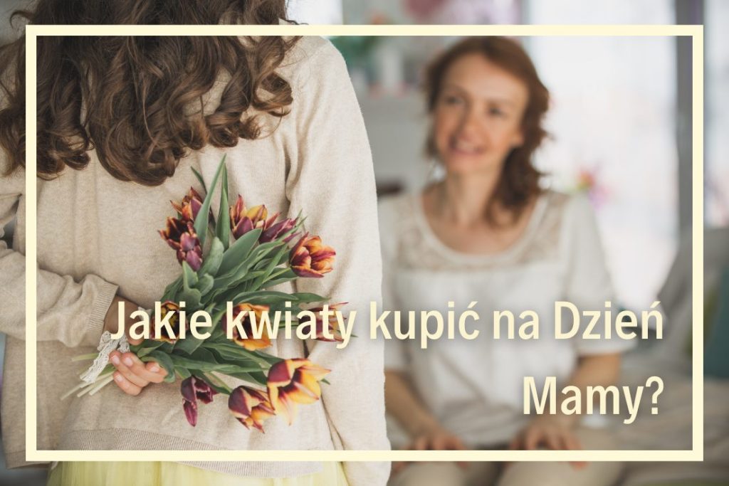 szkoła języków obcych online kursy języka angielskiego online