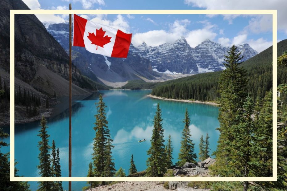 szkoła języków obcych online kursy języka angielskiego online kursy języka francuskiego online