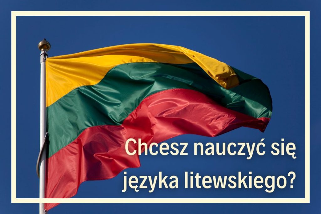 szkoła języków obcych online indywidualne kursy języka litewskiego online