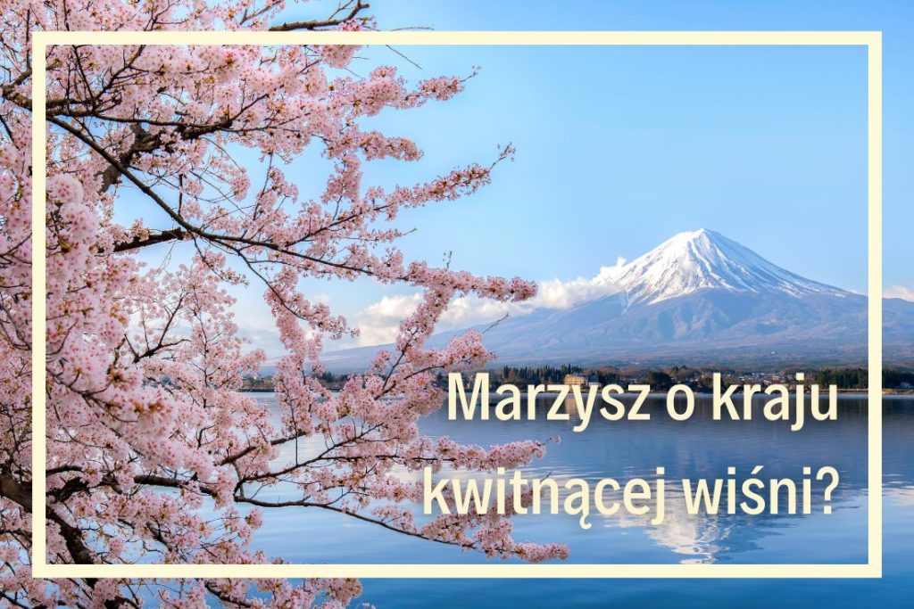 szkoła języków obcych online, indywidualne kursy języka japońskiego online