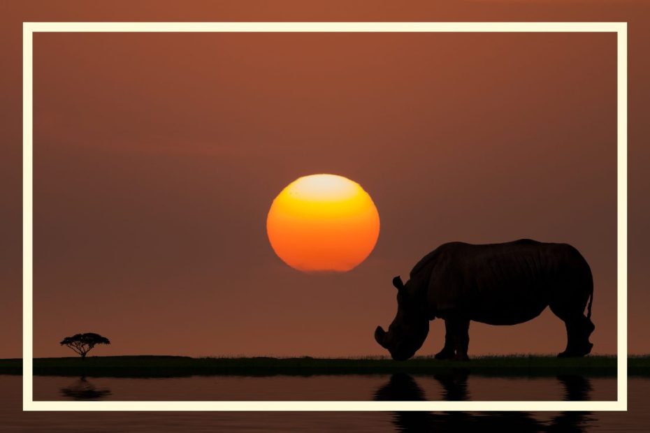 szkoła języków obcych online indywidualne kursy języka Suahili online