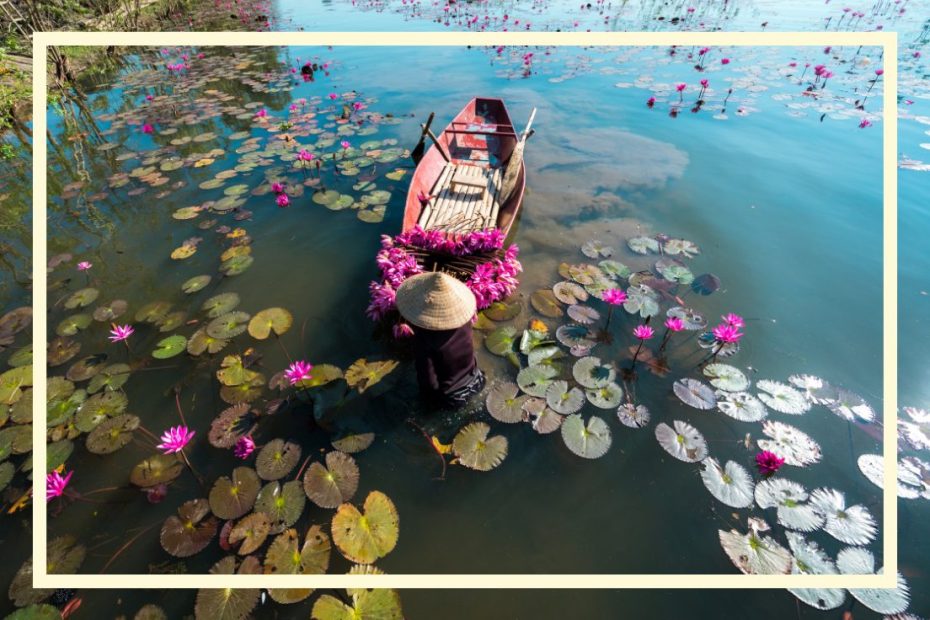 szkoła języków obcych online kursy języka wietnamskiego online