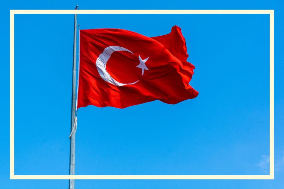 szkoła języków obcych online indywidualne kursy języka tureckiego online