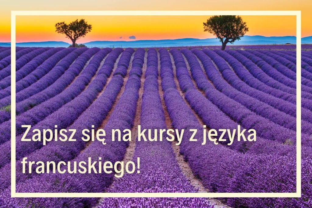 kursy języka francuskiego online szkoła języków obcych online